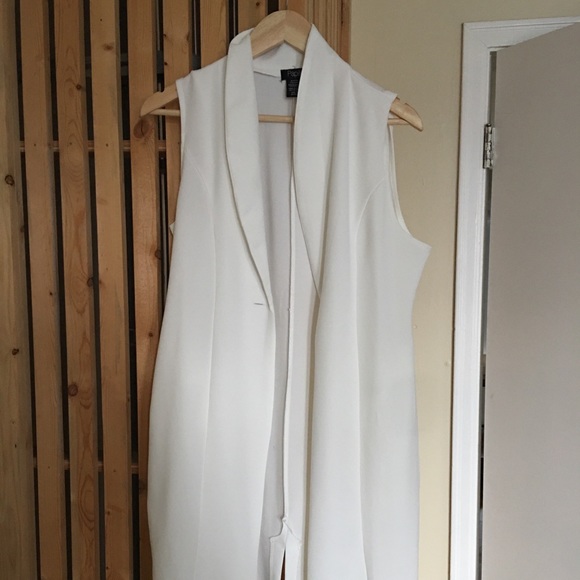 Papillon size large vest - Picture 1 of 1